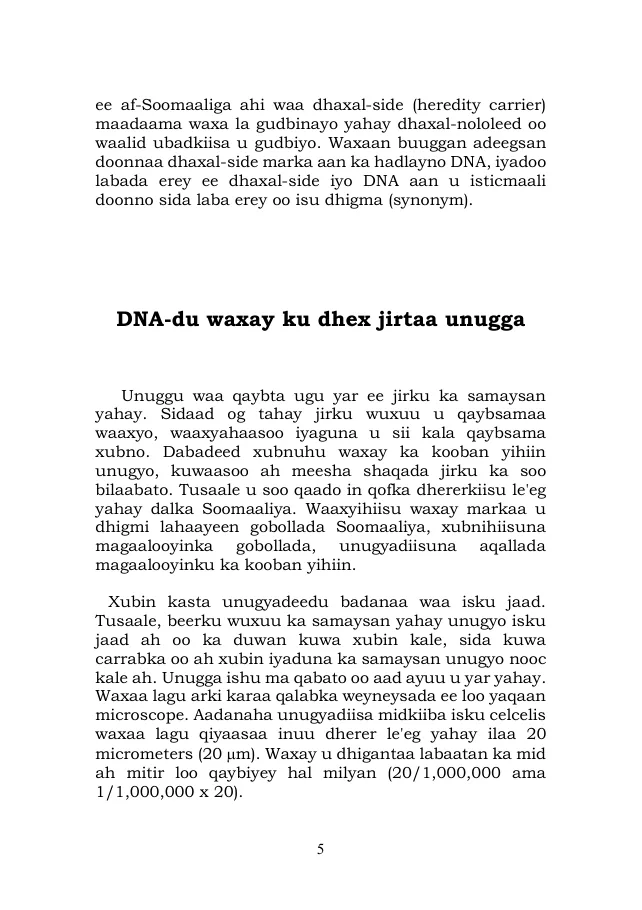 Page 5